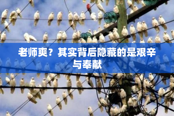 老师爽？其实背后隐藏的是艰辛与奉献