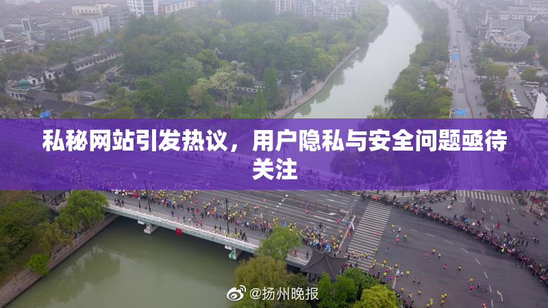 私秘网站引发热议，用户隐私与安全问题亟待关注