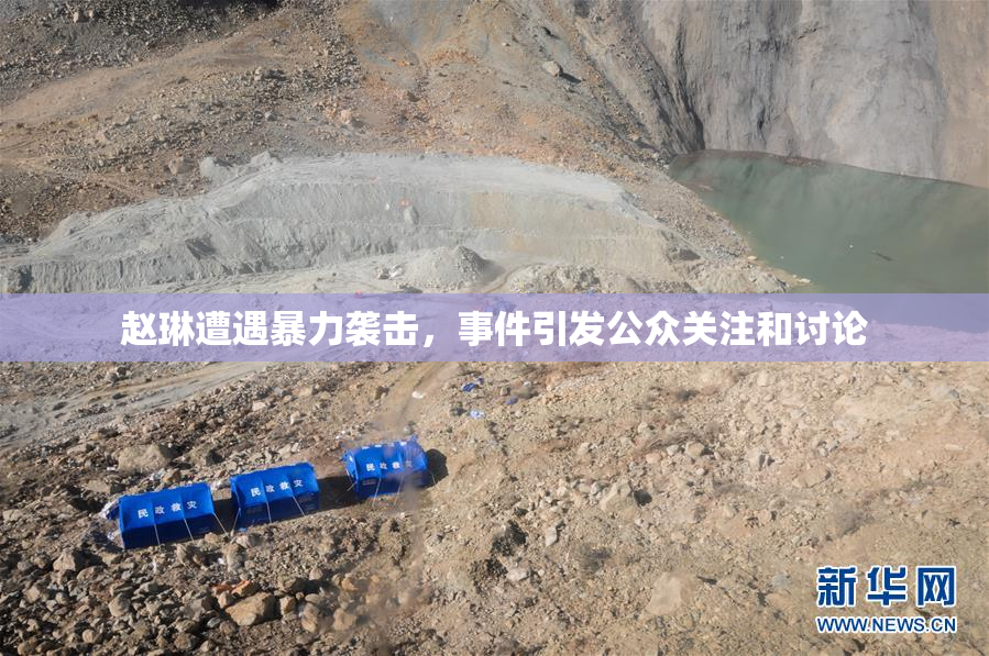 赵琳遭遇暴力袭击，事件引发公众关注和讨论