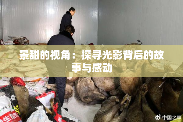 景甜的视角：探寻光影背后的故事与感动