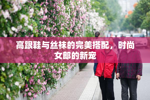 高跟鞋与丝袜的完美搭配，时尚女郎的新宠