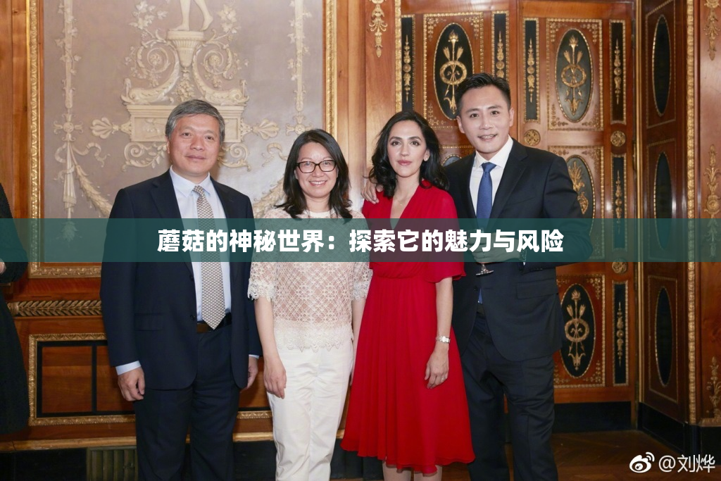 蘑菇的神秘世界：探索它的魅力与风险