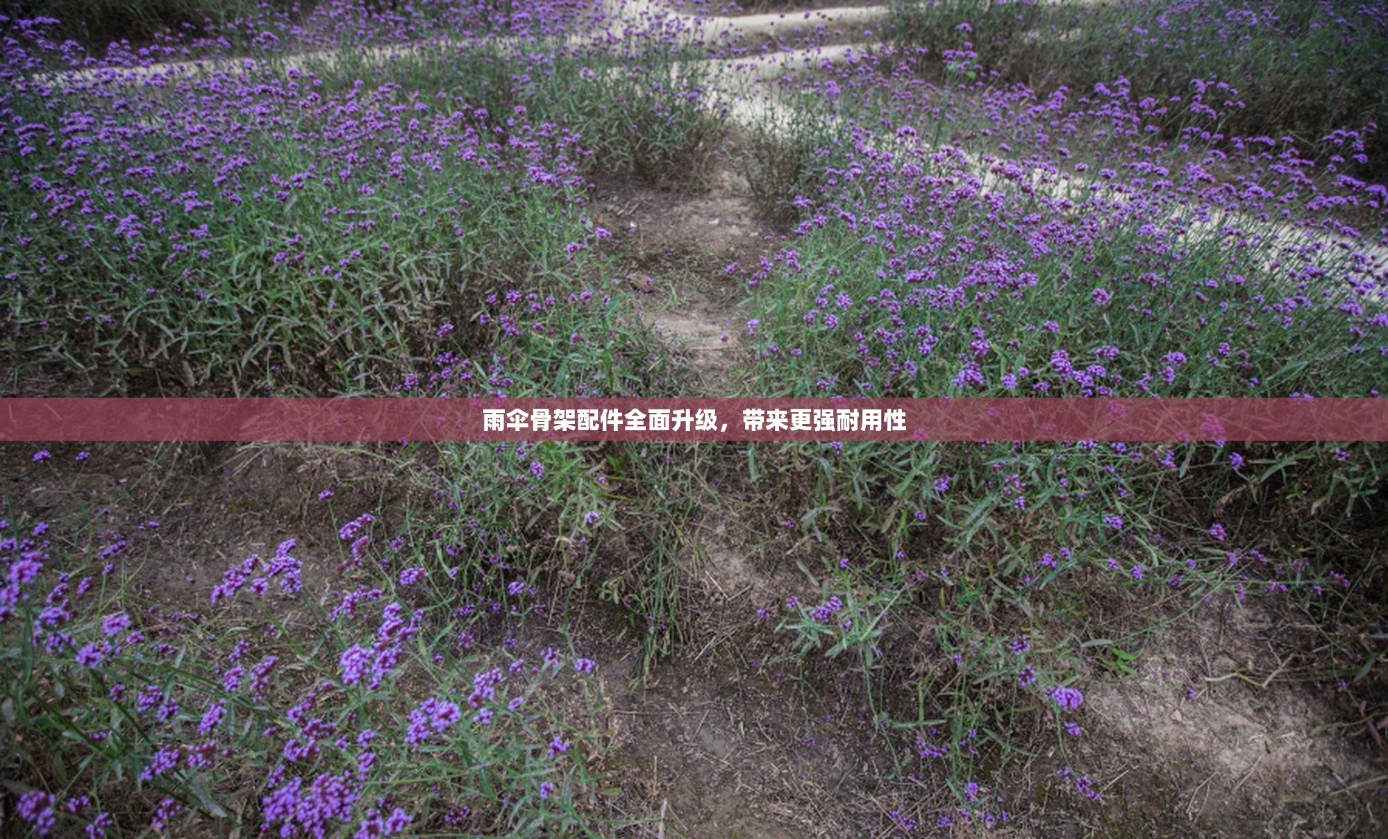 雨伞骨架配件全面升级，带来更强耐用性