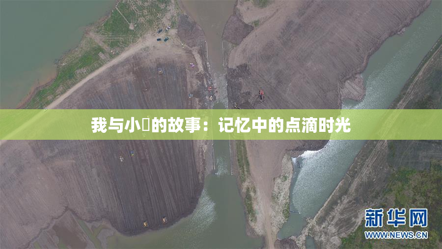 我与小娻的故事：记忆中的点滴时光