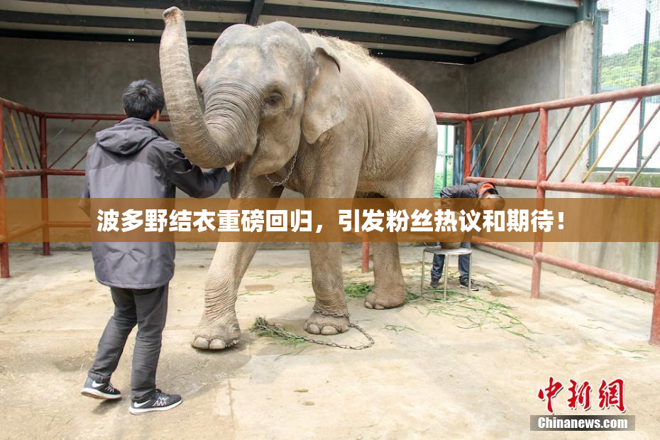波多野结衣重磅回归，引发粉丝热议和期待！