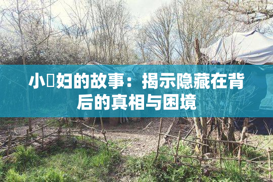 小婬妇的故事：揭示隐藏在背后的真相与困境