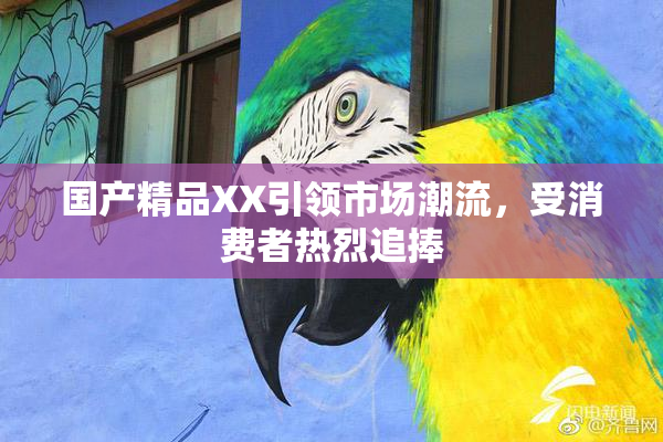 国产精品XX引领市场潮流，受消费者热烈追捧