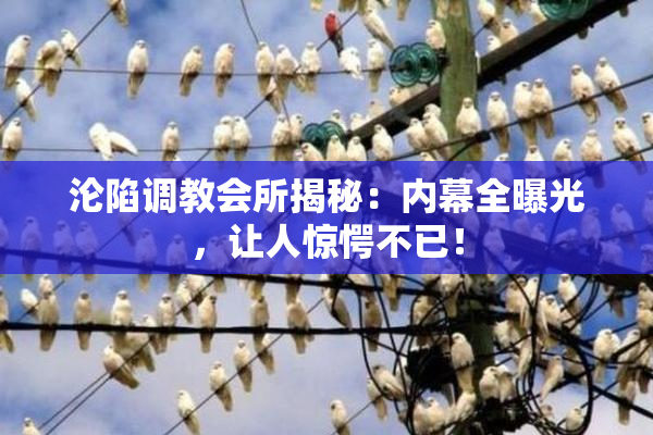 沦陷调教会所揭秘：内幕全曝光，让人惊愕不已！