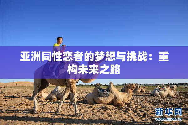 亚洲同性恋者的梦想与挑战：重构未来之路