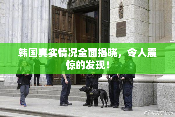 韩国真实情况全面揭晓，令人震惊的发现！
