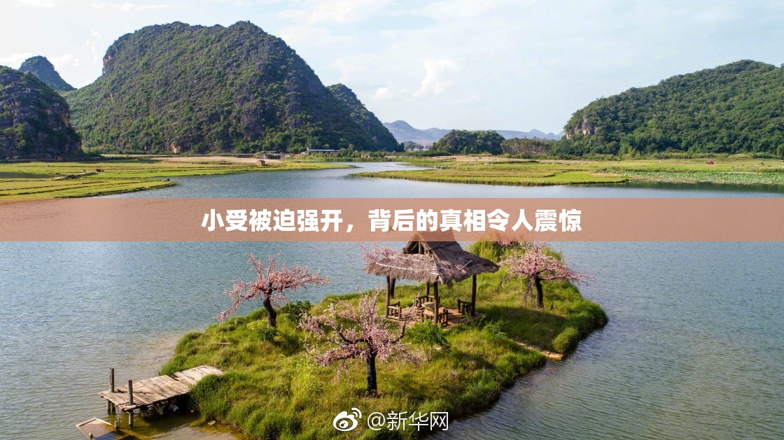 小受被迫强开，背后的真相令人震惊