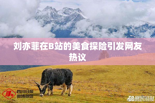 刘亦菲在B站的美食探险引发网友热议