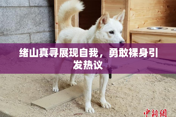 绪山真寻展现自我，勇敢裸身引发热议