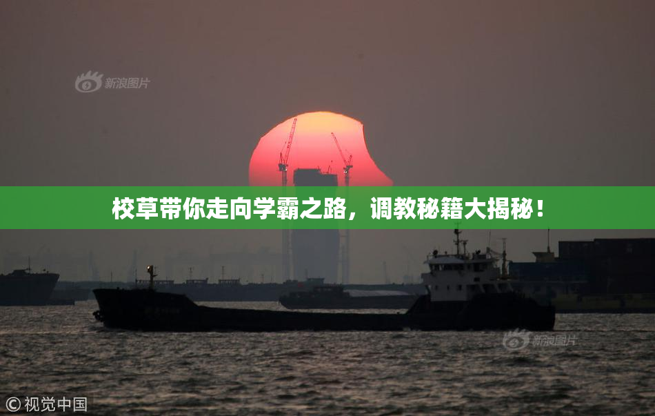 校草带你走向学霸之路，调教秘籍大揭秘！