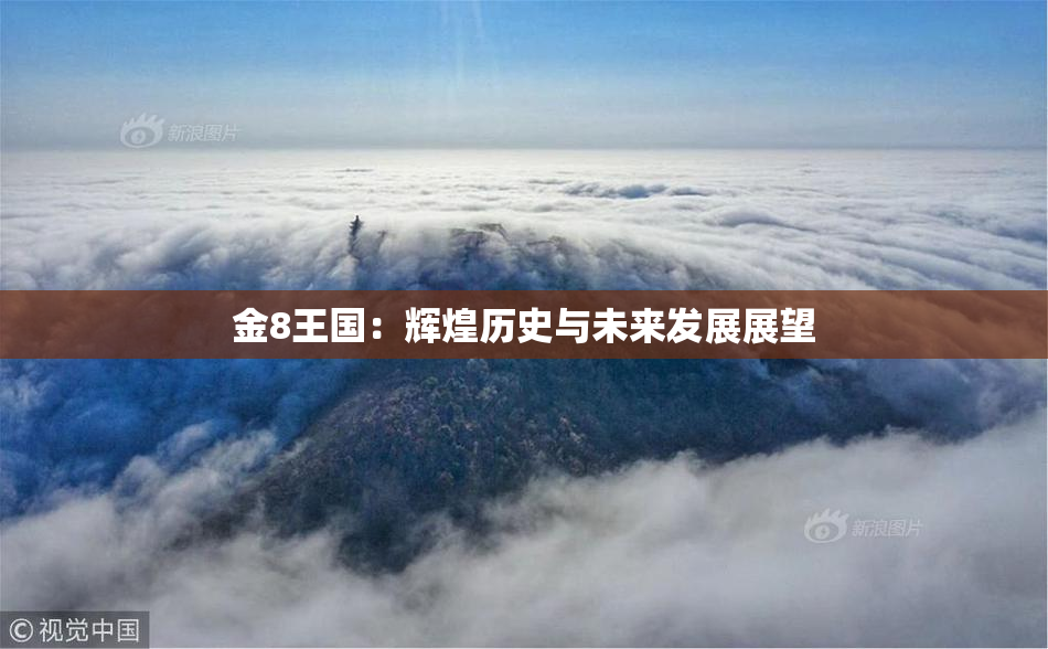 金8王国：辉煌历史与未来发展展望