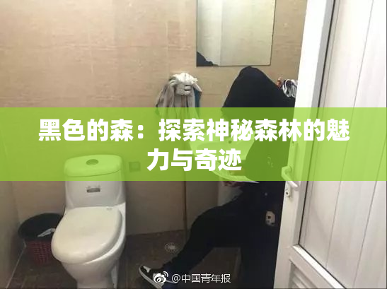 黑色的森：探索神秘森林的魅力与奇迹