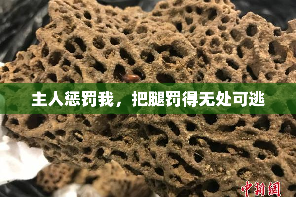 主人惩罚我，把腿罚得无处可逃
