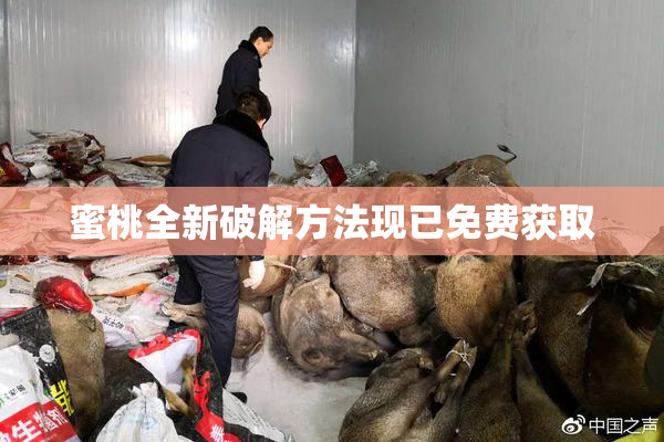 蜜桃全新破解方法现已免费获取