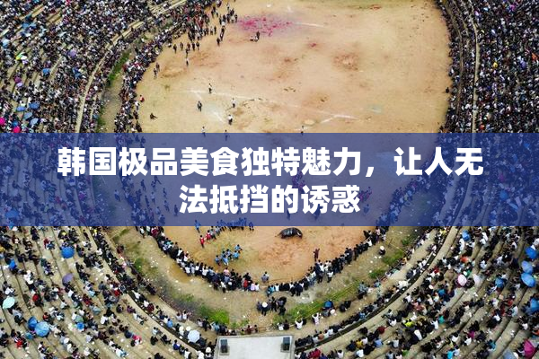 韩国极品美食独特魅力，让人无法抵挡的诱惑