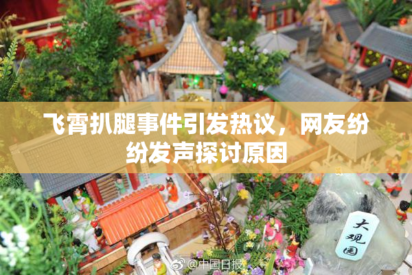 飞霄扒腿事件引发热议，网友纷纷发声探讨原因