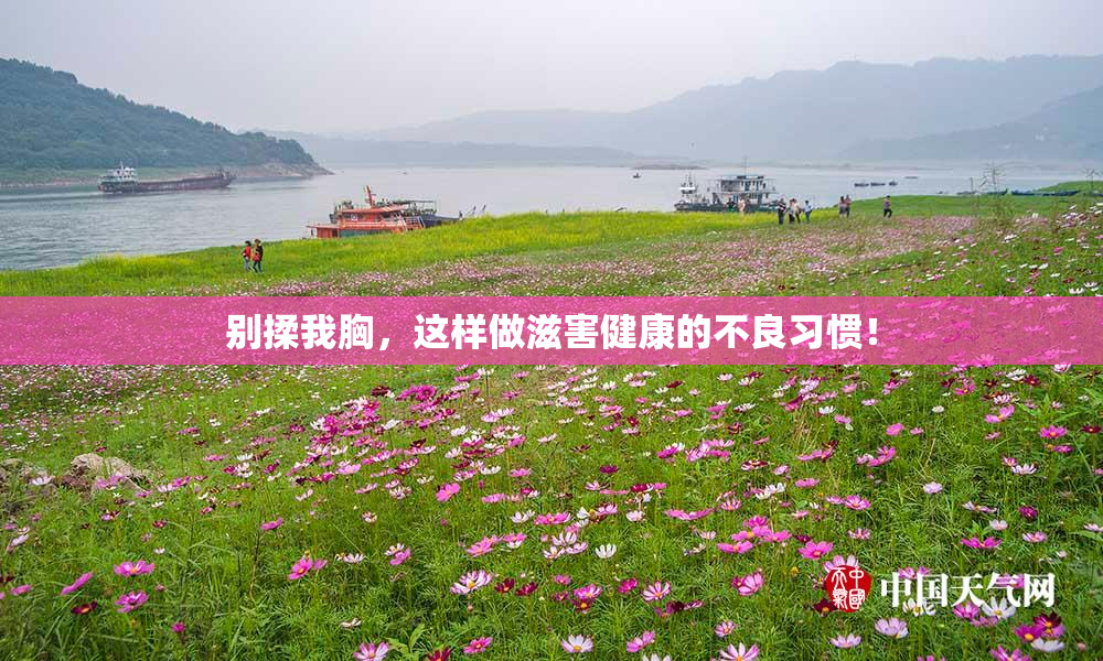 别揉我胸，这样做滋害健康的不良习惯！