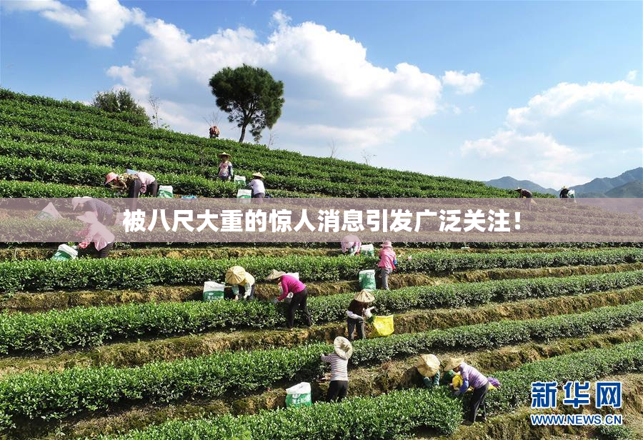 被八尺大重的惊人消息引发广泛关注！