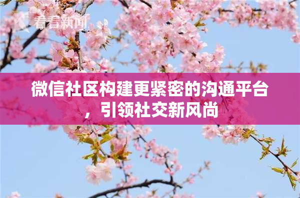 微信社区构建更紧密的沟通平台，引领社交新风尚