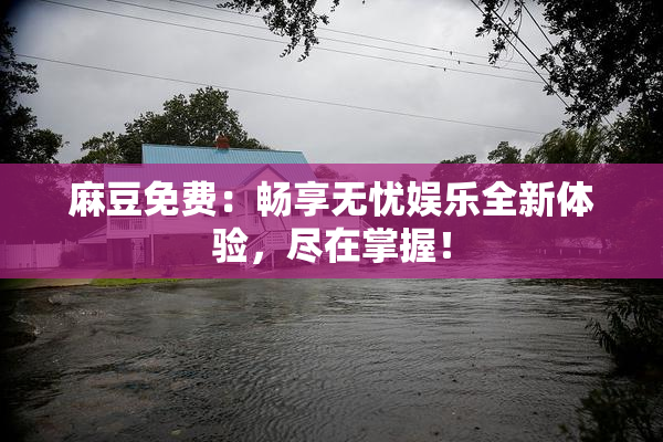 麻豆免费：畅享无忧娱乐全新体验，尽在掌握！
