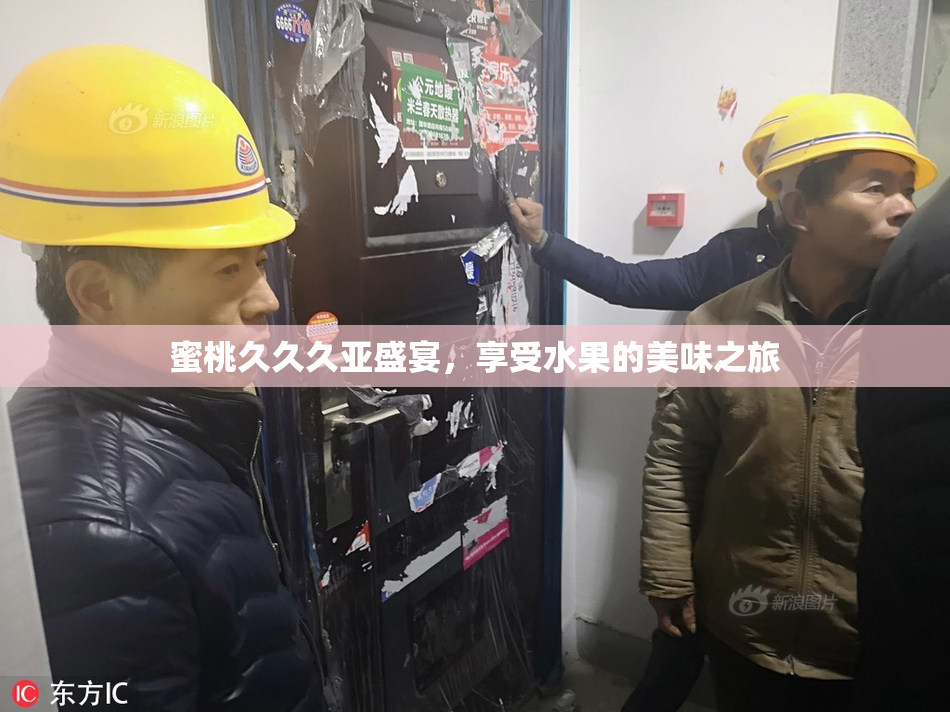 蜜桃久久久亚盛宴，享受水果的美味之旅