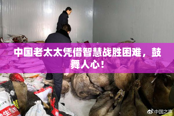 中国老太太凭借智慧战胜困难，鼓舞人心！