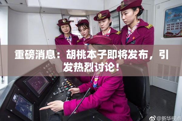 重磅消息：胡桃本子即将发布，引发热烈讨论！