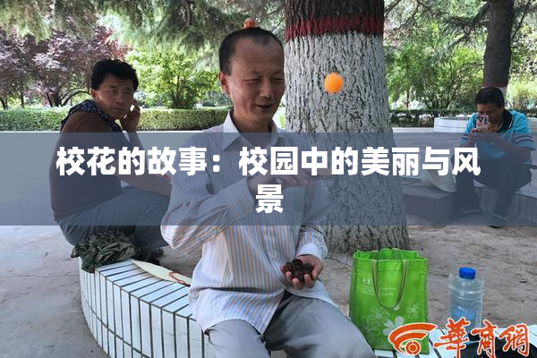 校花的故事：校园中的美丽与风景