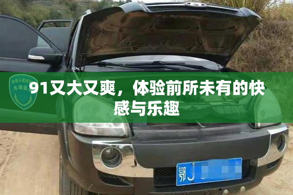 91又大又爽，体验前所未有的快感与乐趣