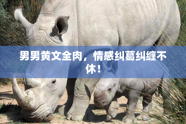 男男黄文全肉，情感纠葛纠缠不休！