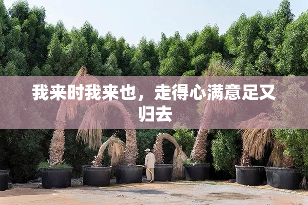 我来时我来也，走得心满意足又归去