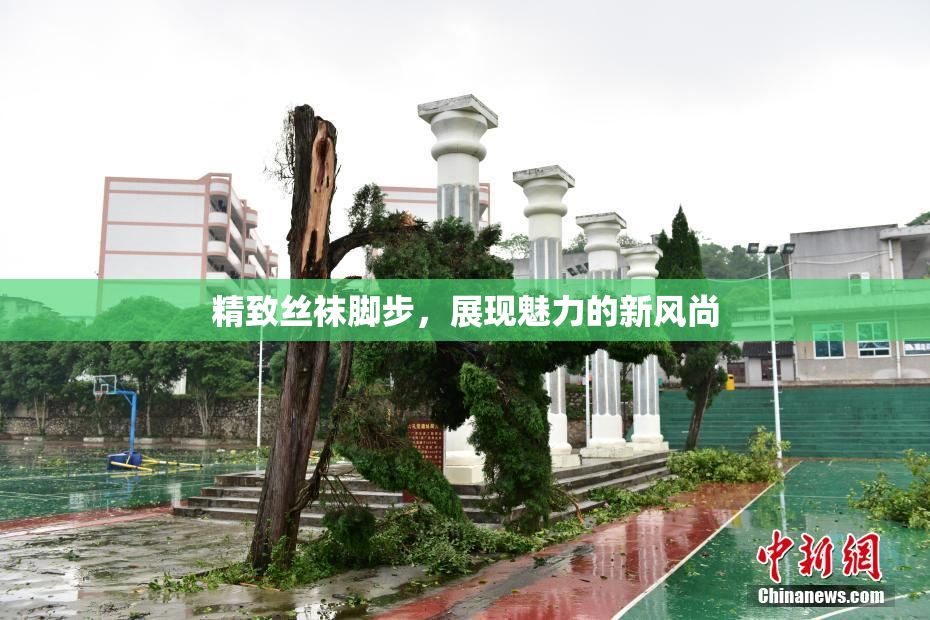 精致丝袜脚步，展现魅力的新风尚