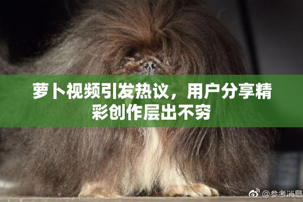 萝卜视频引发热议，用户分享精彩创作层出不穷