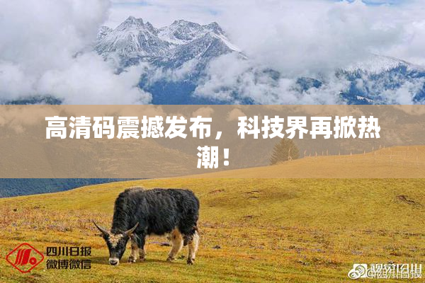 高清码震撼发布，科技界再掀热潮！