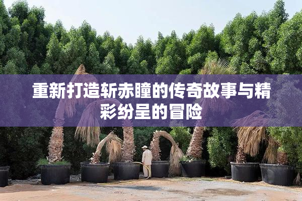 重新打造斩赤瞳的传奇故事与精彩纷呈的冒险