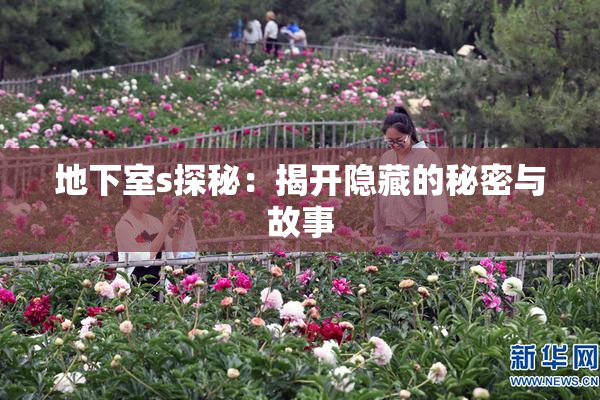 地下室s探秘：揭开隐藏的秘密与故事