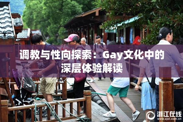 调教与性向探索：Gay文化中的深层体验解读