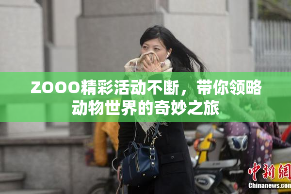 ZOOO精彩活动不断，带你领略动物世界的奇妙之旅