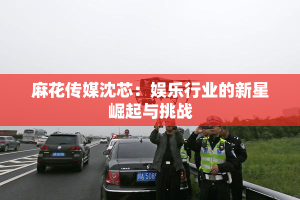 麻花传媒沈芯：娱乐行业的新星崛起与挑战