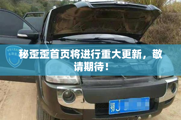 秘歪歪首页将进行重大更新，敬请期待！