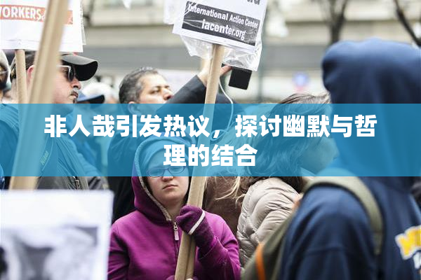 非人哉引发热议，探讨幽默与哲理的结合