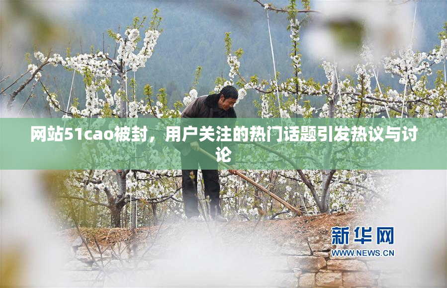 网站51cao被封，用户关注的热门话题引发热议与讨论