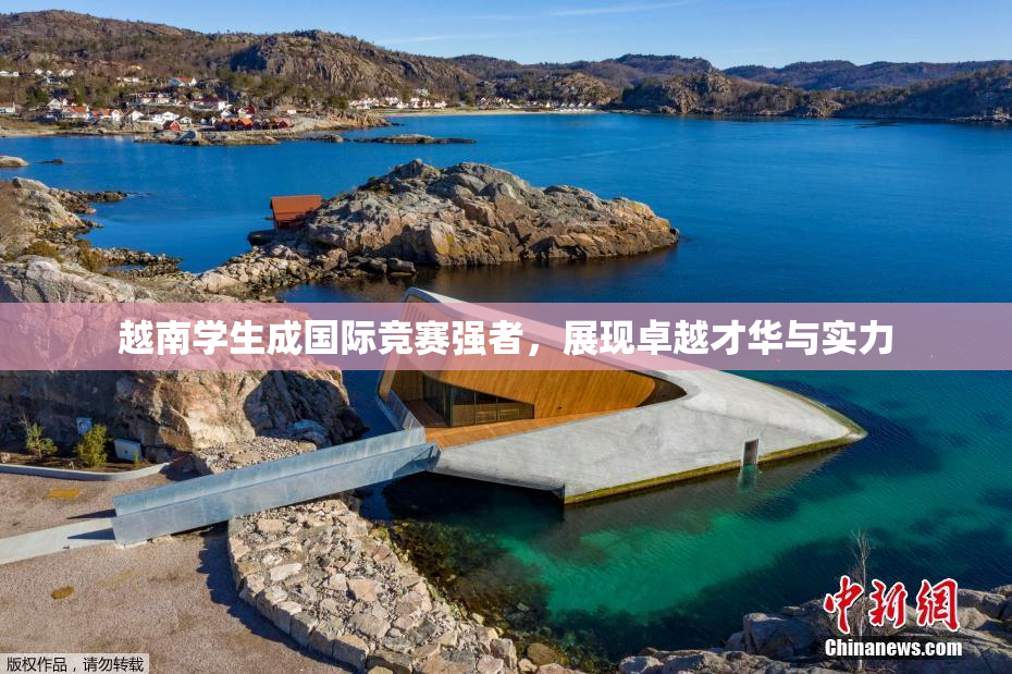 越南学生成国际竞赛强者，展现卓越才华与实力