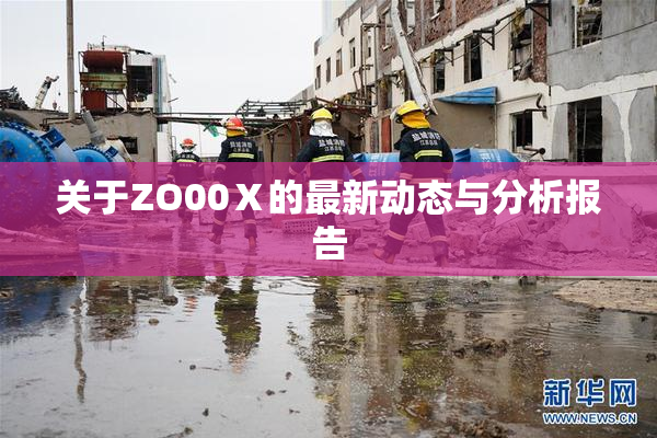 关于ZO00Ⅹ的最新动态与分析报告