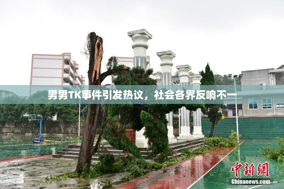 男男TK事件引发热议，社会各界反响不一