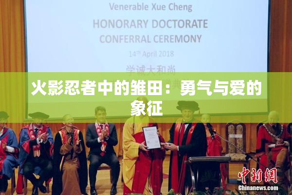 火影忍者中的雏田：勇气与爱的象征